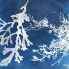 White print on blue fabric