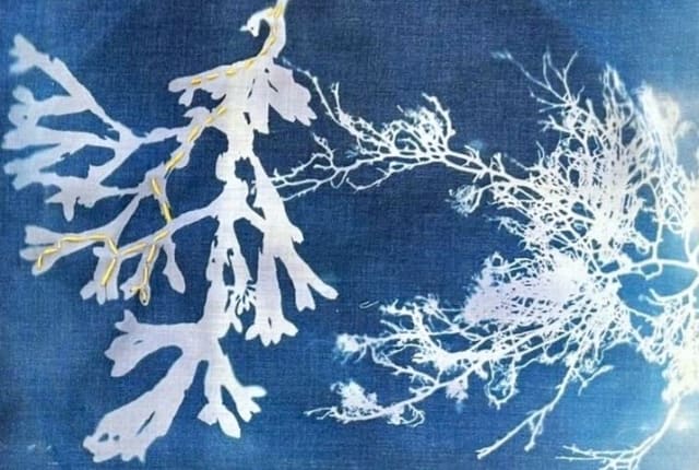 White print on blue fabric