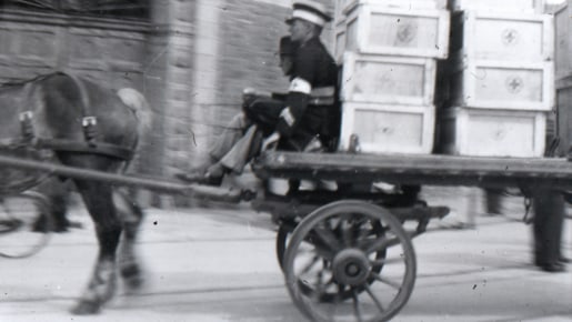 Man with a horse and card with parcels.
