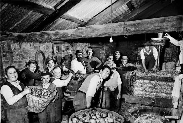 1958 image of people making cider