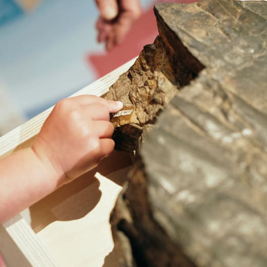 Jersey Museum young hands touch ancient rock in geopark