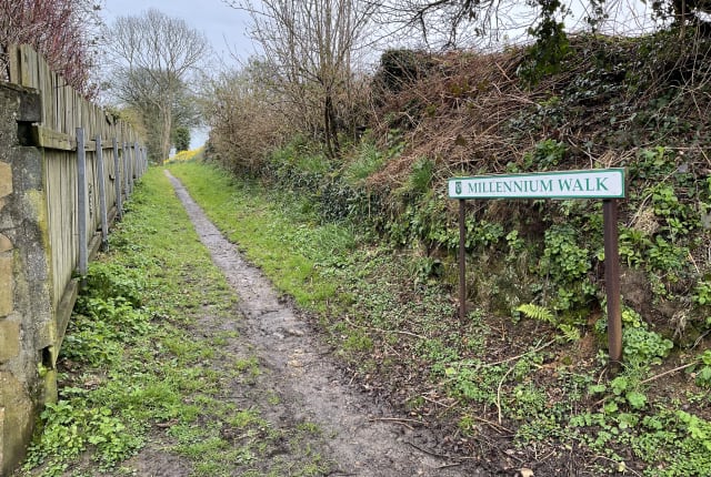 Pathway down a country lane