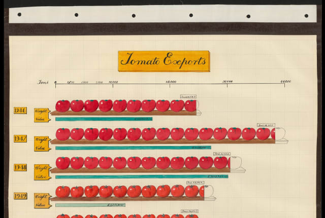 An illustrated page from a statistics book showing tomato imports